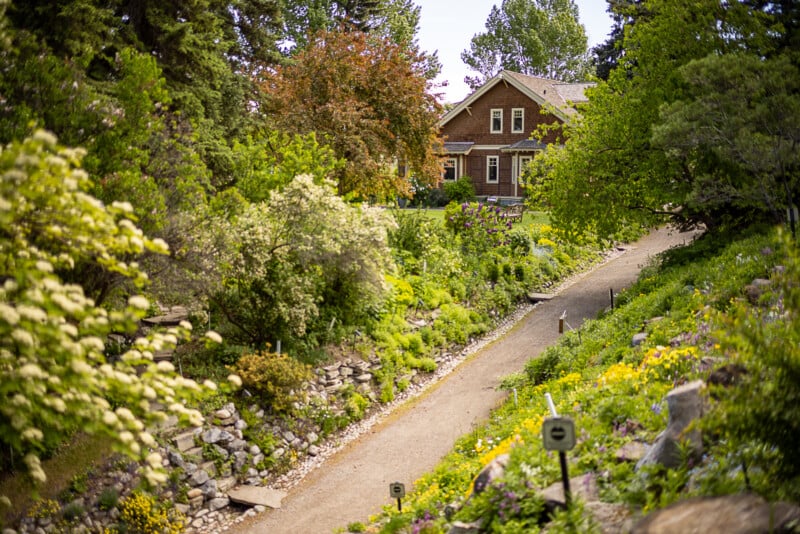 A rustic wooden house is surrounded by lush greenery and colorful flowers. A dirt path leads up to the house, lined with signs and flanked by stone walls and dense vegetation. Trees and bushes frame the scene, creating a peaceful, secluded atmosphere.