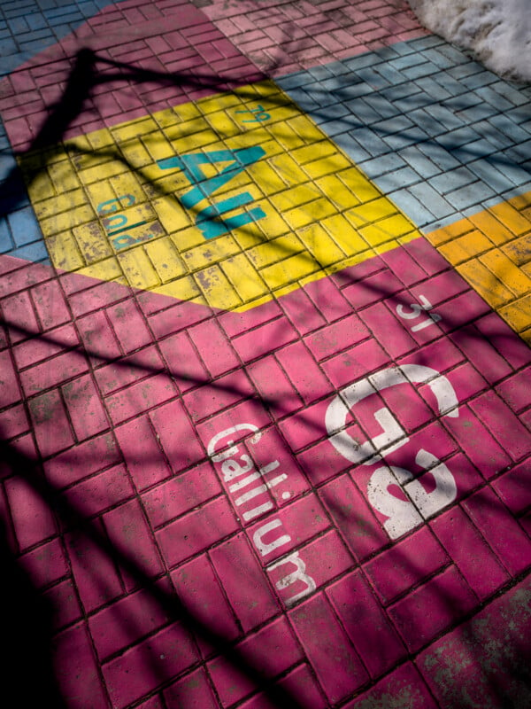 Vibrant street art on sidewalk tiles featuring the ukrainian flag in yellow and blue, partially covered with snow, with the word "solidarity" printed over in large, white letters.