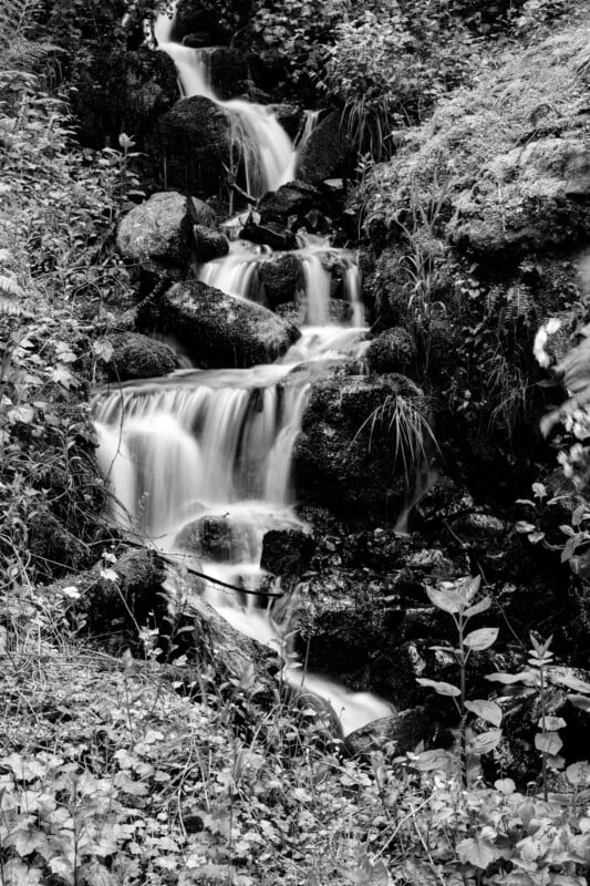 A black and white photograph of a small cascading waterfall flowing through moss-covered rocks and surrounded by lush foliage. The moving water creates a smooth, silky effect as it spills over each layer of the rocky terrain in a serene natural setting.