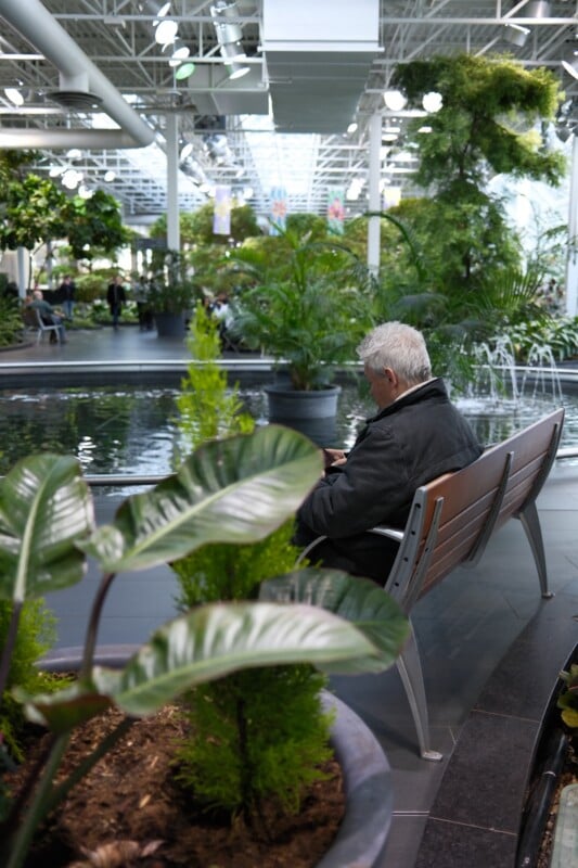 A man with white hair, wearing a dark jacket, sits on a bench inside a spacious indoor garden. He faces a large pond surrounded by lush green plants, with a few fountains in view. The area features a high, bright ceiling and more people are visible in the background.