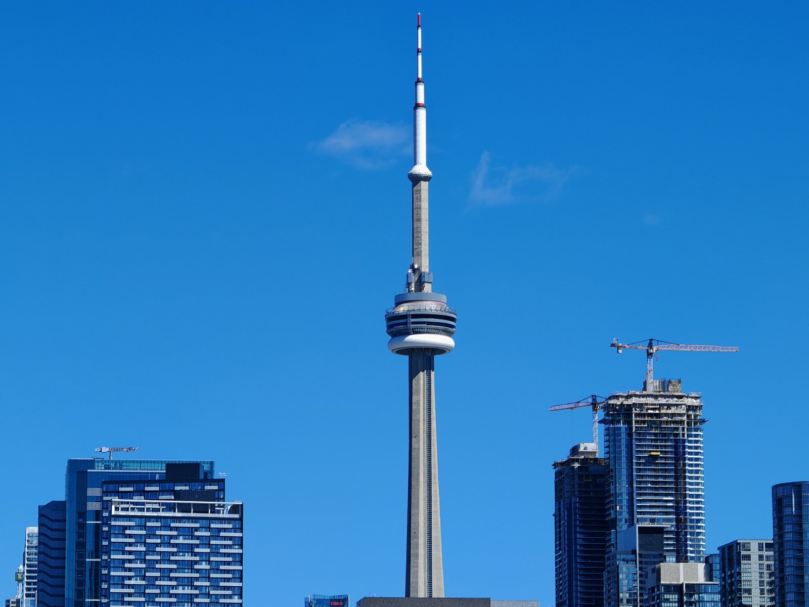 The cn tower dominates the skyline amid modern high-rise buildings under a clear blue sky.