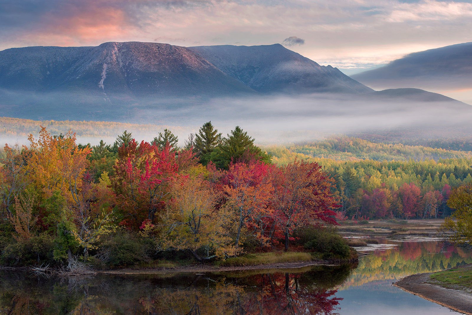 Guide to Fall Foliage Tracking and Maps