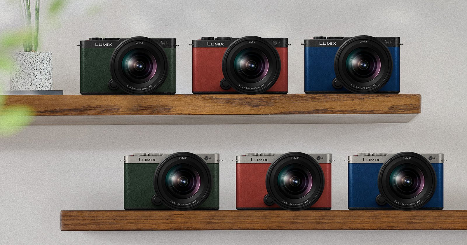 Two wooden shelves each displaying three cameras. The upper shelf holds a green, red, and blue camera, while the lower shelf also holds a green, red, and blue camera. Each camera is marked with the "LUMIX" brand and is equipped with a large lens. A plant is partially visible on the left side.