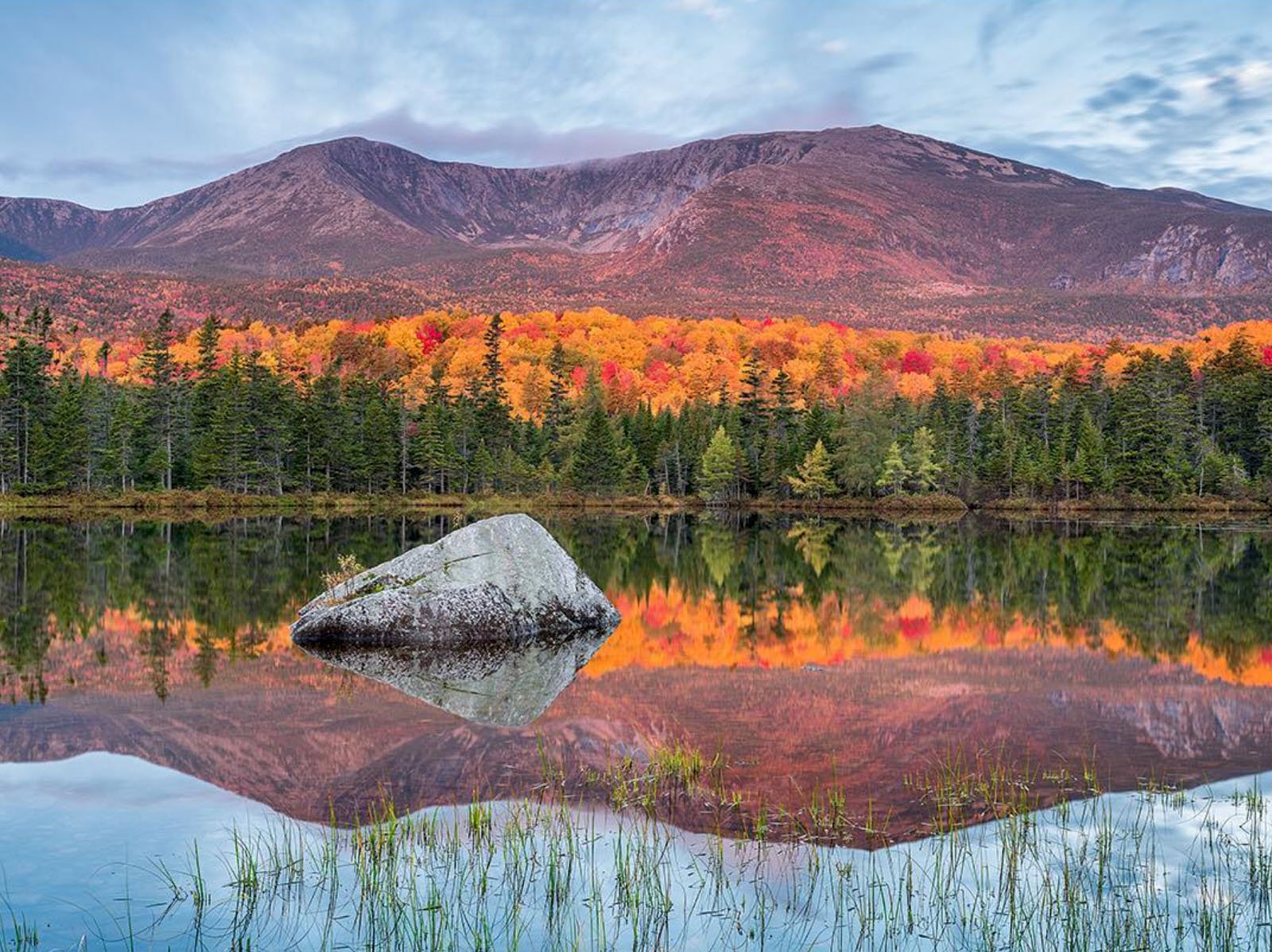 Guide to Fall Foliage Tracking and Maps