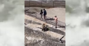 tourists jumps barrier yosemite national park photos safety